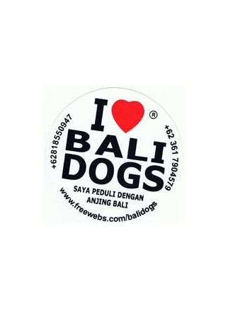 Donation to Bali Dog Shelter